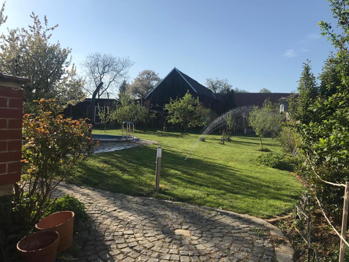 Helle, Offene Dachgeschosswohnung Mit Terrasse Oberloisdorf Esterno foto